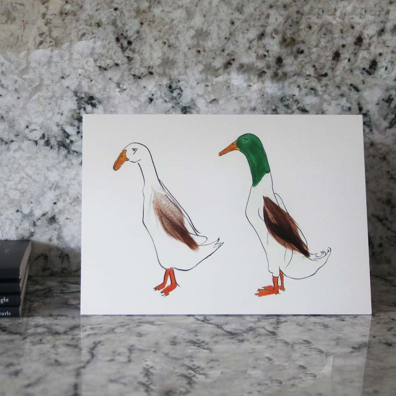 Tin of 6 different duck cards Blank inside from Cluck Cluck!
