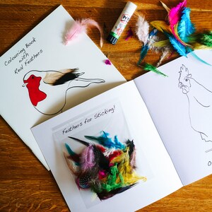 Colouring Book with birds and  real feathers from Cluck Cluck