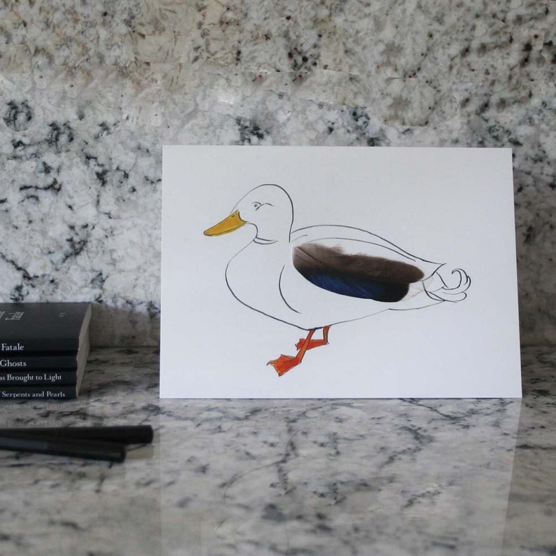 Tin of 6 different duck cards Blank inside from Cluck Cluck!