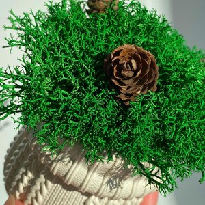 May include: A decorative arrangement featuring vibrant green moss and two brown pinecones. The moss is nestled in a white, textured pot with a knitted design, creating a natural and rustic aesthetic. This piece is suitable for home decor.