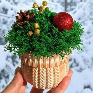 May include: A decorative arrangement in a small, textured pot. The arrangement features vibrant green moss, a red glittery ball, a pine cone, and small golden accents. The pot has a cream and orange knitted design, creating a festive, seasonal display.