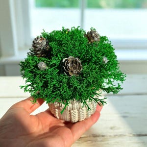 May include: A small decorative arrangement of bright green moss, with silver-glittered pine cones, in a cream-coloured woven basket. The arrangement is held in a hand.