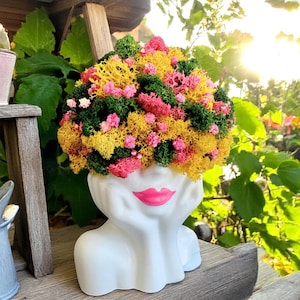 Maceta colorida con musgo y flores - Decoración botánica para el hogar