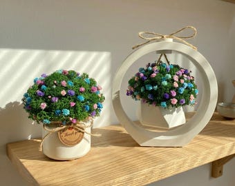 Preserved Moss & Flower Planter – Desktop Greenery – Personalizable