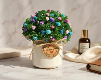 Preserved Moss & Flower Planter | No-Maintenance Miniature Garden |