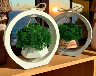 Round Frame Small Moss Planter - Modern Handmade Home Decor with Air Plant