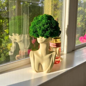 May include: A cream-coloured bust sculpture with a green, moss-like top. A bottle of perfume with a pink label is next to the bust. The bust is on a white windowsill with a window in the background.