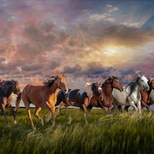 Wild Horses Landscape Art Print: Western Wall Decor by K. Hargrave