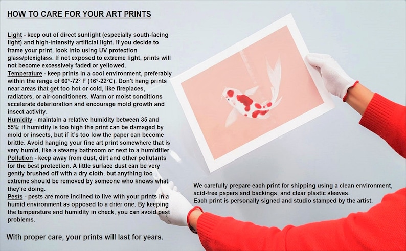 May include: An art print featuring a white and red koi fish on a light pink background. The image includes text titled HOW TO CARE FOR YOUR ART PRINTS, providing instructions on light, temperature, humidity, pollution, and pest control for prints.