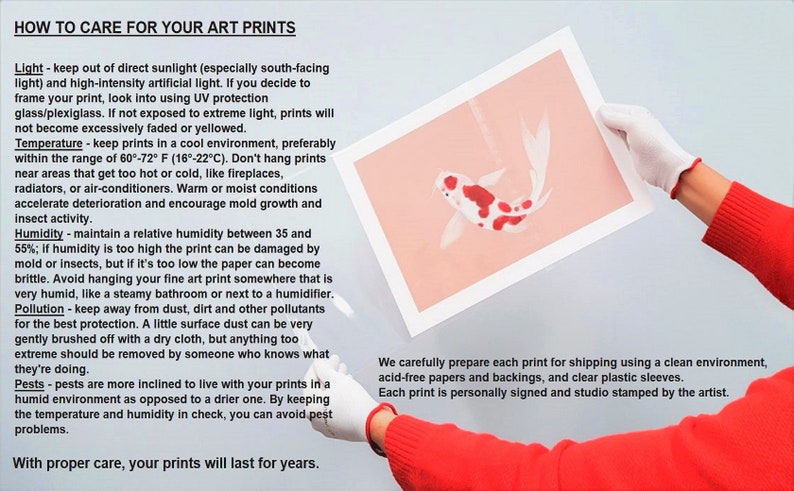 May include: A person wearing a red sweater and white gloves holds a framed art print. The print features a koi fish design in red and white on a peach background. Text on the left provides care instructions for art prints.