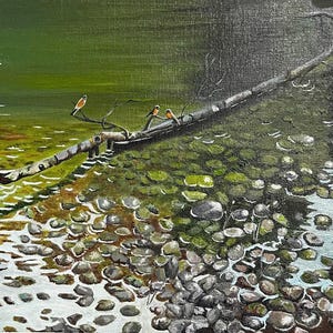 Piedras en el agua