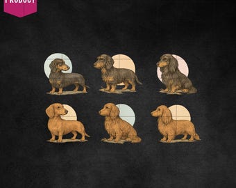Dachshund Dog Png, Dachshund Dog Shirt Png, Dog Lovers PNG, Sausage Dog Sublimation, Instant Download Art