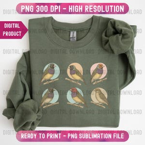 Puede incluir: Sudadera verde oliva con seis ilustraciones de pájaros en ramas, cada una dentro de un círculo pastel. Los pájaros tienen varios colores. El texto en la parte superior dice "PNG 300 DPI - ALTA RESOLUCIÓN".