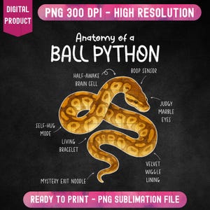 K&ouml;nnte beinhalten: Ein digitaler Druck mit dem Titel "Anatomie eines K&ouml;nigspythons" auf schwarzem Hintergrund. Die Illustration zeigt eine detaillierte Darstellung eines K&ouml;nigspythons im Aquarellstil mit beschrifteten Teilen wie "Boop Sensor" und "Richterliche Marmoraugen". Das Bild enth&auml;lt den Text "PNG 300 DPI - HOHE AUFL&Ouml;SUNG".