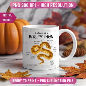 K&ouml;nnte beinhalten: Wei&szlig;e Keramiktasse mit einer detaillierten Illustration einer K&ouml;nigspython und anatomischen Beschriftungen. Die Tasse hat einen wei&szlig;en Henkel und den Text "Anatomy of a BALL PYTHON". Der Hintergrund umfasst einen K&uuml;rbis und Herbstbl&auml;tter.