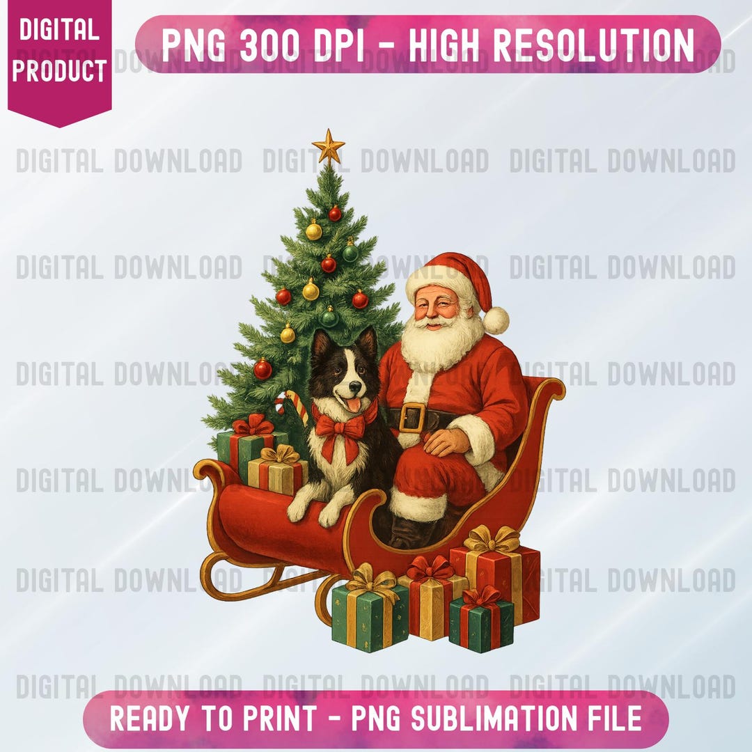 Santa Border Collie Christmas PNG Digital Clipart, Dog Breeds Lover ...