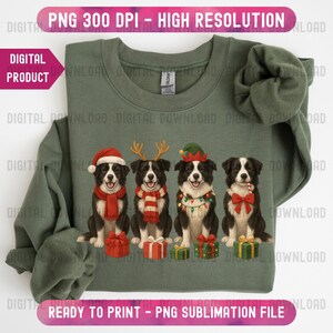 May include: Green sweatshirt featuring four Border Collie dogs dressed in holiday attire. Each dog wears a different festive accessory, including a Santa hat, reindeer antlers, a string of lights, and a bow. The text "PNG 300 DPI - HIGH RESOLUTION" is at the top.