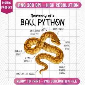 Anatomy of Ball Python PNG, Ball Python Diagram Png, Reptile Funny Instant Download Clipart