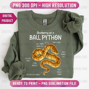 Anatomie von Ball Python PNG, Ball Python Diagramm Png, Reptil Lustig Sofortiger Download Clipart Bild 8