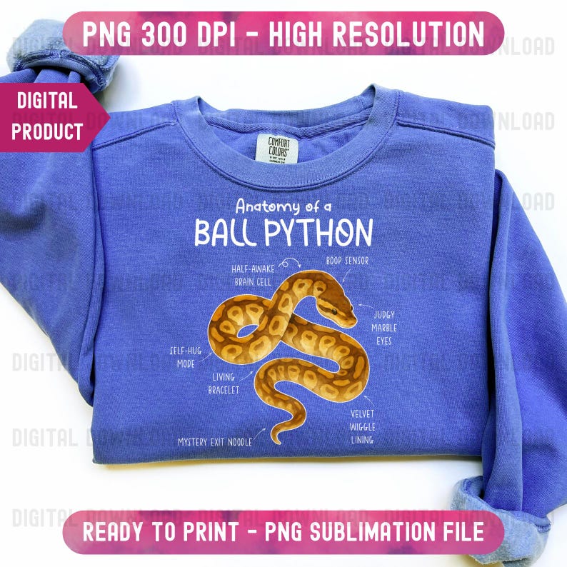 K&ouml;nnte beinhalten: Ein periwinkelfarbenes Sweatshirt mit einer detaillierten Illustration einer K&ouml;nigspython und anatomischen Beschriftungen. Der Text "Anatomy of a Ball Python" steht &uuml;ber der Schlange. Das Sweatshirt hat ein Comfort Colors-Etikett.