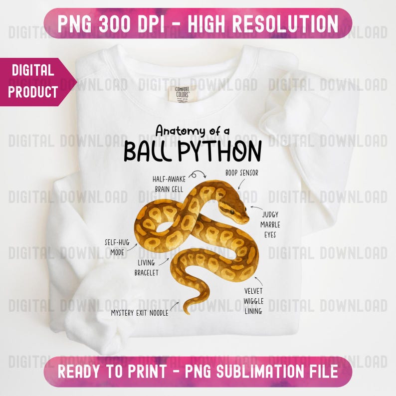 K&ouml;nnte beinhalten: Wei&szlig;es Langarmshirt mit detaillierter Illustration einer K&ouml;nigspython und ihrer Anatomie. Der Text "Anatomy of a Ball Python" steht &uuml;ber der Schlange. Das Design ist ein digitales Produkt zum Drucken.