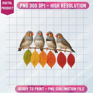 Puede incluir: Producto digital con cuatro pájaros grises y naranjas posados en una rama con hojas coloridas. La imagen incluye el texto "PNG 300 DPI - ALTA RESOLUCIÓN" y "LISTO PARA IMPRIMIR - ARCHIVO DE SUBLIMACIÓN PNG".