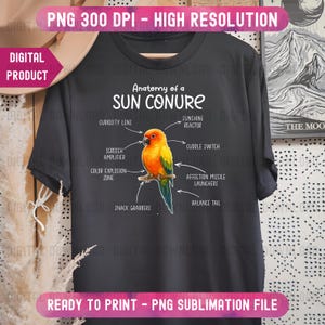 Anatomi av en solconure PNG, rolig papegojaälskare gåva, husdjur PNG, fågelmemehumor, anatomiconuremammakonst, conureornitologdesign