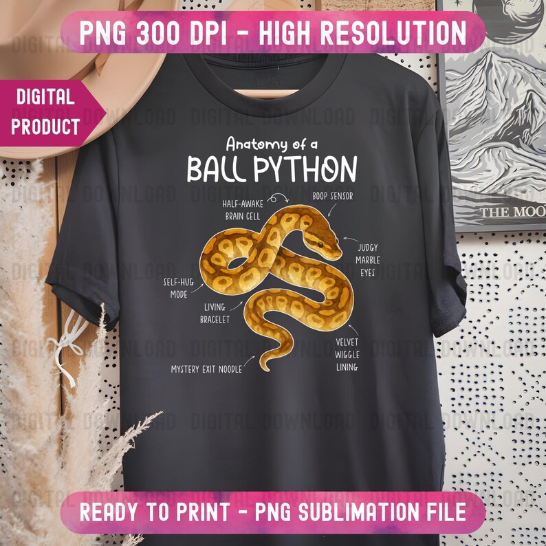K&ouml;nnte beinhalten: Dunkelgraues T-Shirt mit detaillierter Illustration eines K&ouml;nigspythons und seinen anatomischen Merkmalen. Der Text "Anatomy of a Ball Python" steht &uuml;ber der Illustration. Digitales Produkt, druckfertig.