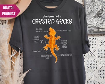 Anatomy of a Crested Gecko PNG, Funny Gecko Anatomy Clipart, Reptile Humor PNG, Exotic Gecko Lover Art
