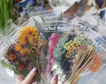 Dried Flowers PET Stickers Set | For Scrapbook Paper, Junk Journal Kit, Ephemera Supplies, Craft Paper for Journaling