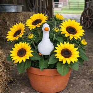 May include: A terracotta pot filled with vibrant sunflowers and a white goose figurine. The sunflowers have bright yellow petals and dark brown centers. The goose has an orange beak and feet. The scene is set in a rustic outdoor environment.