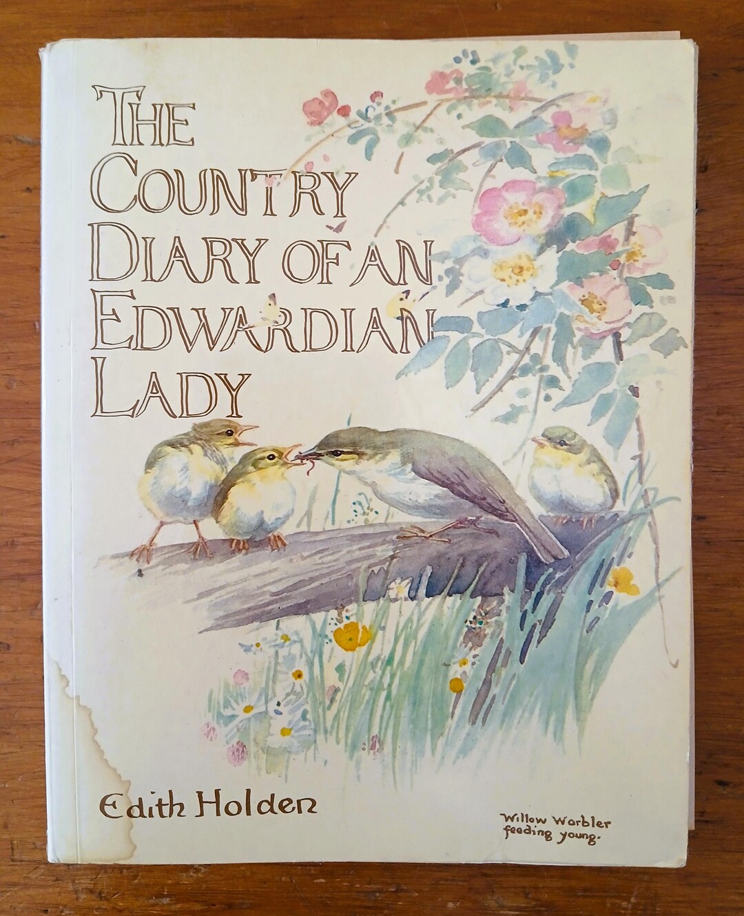 Bundles of Ten (10) Random Pages From Edith Holden's the Country Diary ...