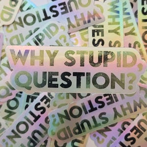 Holographic Why Stupid, Question? -   Project Hail Mail Mary Inspired Sticker