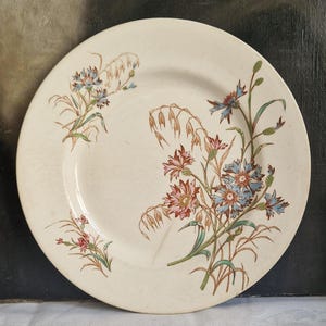 Antique plate Luneville Terre de fer with flower motif Shabby vintage from France rare