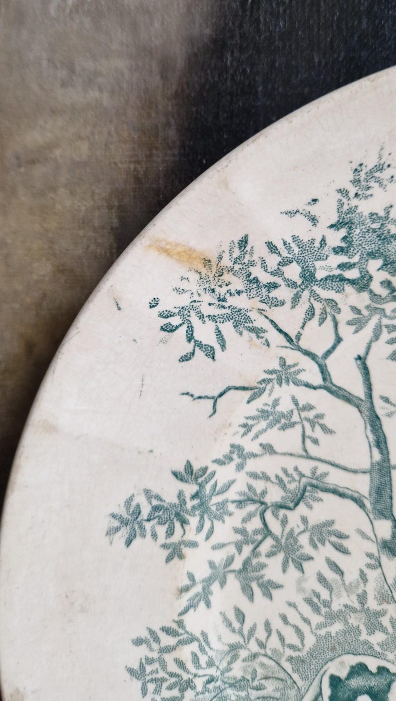 May include: A section of a white ceramic plate with a teal tree and leaf design. The plate has a slightly worn appearance with some discoloration. The design is a detailed illustration of a tree with many leaves.