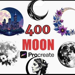 400 Moon Phase Procreate Stamps Brush Set, Lunar Digital Brushes, Celestial Stamp Designs, Astrology Artwork, Moon Stencils
