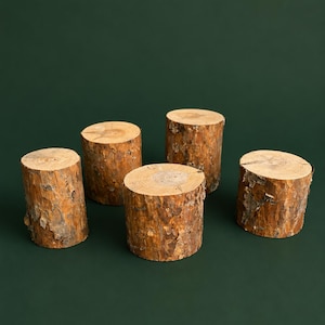 Kiefer Holz Rundholzblock 6-9 cm – Deko Kunst Objekt DIY Rohling Projekt Deko für Zuhause Handwerk Kunstwerk Basteln Dekorieren