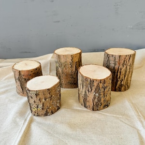 Könnte beinhalten: Fünf kleine, natürliche Holzscheiben mit sichtbarer Rinde und hellen, glatten Oberseiten. Die Baumstämme sind auf einem neutralfarbenen Stoff angeordnet und zeigen ihre rustikale Textur und unterschiedlichen Höhen.