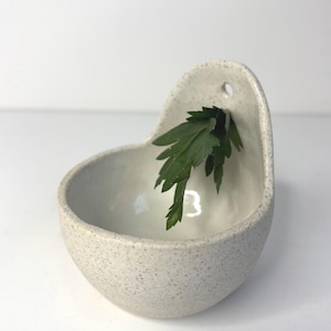 May include: A speckled off-white ceramic wall planter with a rounded basin and a flat back panel featuring a small circular hole for hanging. A sprig of green parsley is tucked into the basin, resting against the interior back wall of the piece.