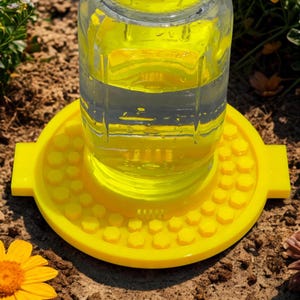 Bee Feeder Watering Station | Pollinator-Friendly, Small Mouth Mason