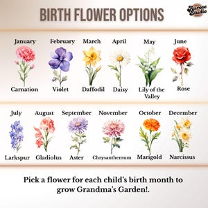 Maglietta con fiori di nascita Comfort Colors, fiori di nascita personalizzati con nomi per bambini, maglietta con il giardino della nonna, regalo di Natale per la mamma immagine 6