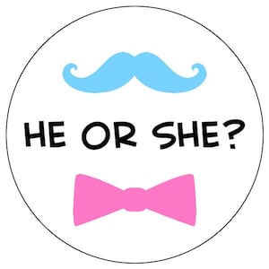 gender reveal stickers - he or she gender reveal stickers - mustache and bow gender reveal stickers - baby shower stickers