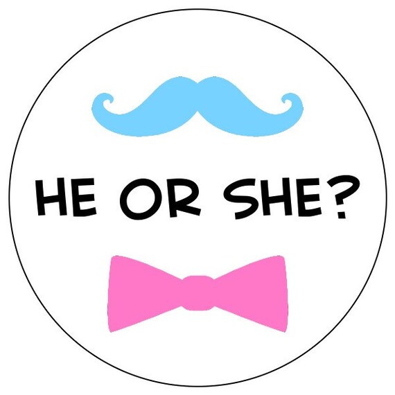 He Or She Gender Reveal Stickers He Or She Gender Reveal Stickers