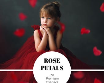 70 Red Petals Digital Overlays Falling Rose Petal Overlay Valentine's Day Backdrops Maternity Romantic Love Wedding Overlays PNG