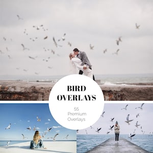 May include: A composite image featuring a wedding scene with a couple kissing, surrounded by flying birds, and two other scenes with birds. The image includes the text "BIRD OVERLAYS" and "55 Premium Overlays" in a white circle.