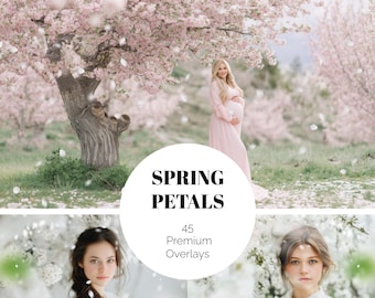 45 White Petal Overlays, Apple Blossom Falling Petals PNG, Spring Maternity Photo Overlays, Romantic Flower Photoshop Overlays