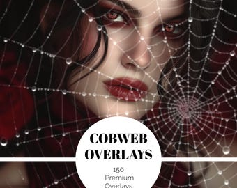 150 superposiciones de telaraña de Halloween, superposición digital de telaraña realista, otoño, espeluznante, Photoshop, araña, gasa, efectos fotográficos místicos PNG