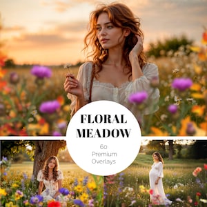 60 Rainbow Flowers Photo Overlays Flower Meadow Photoshop Overlays Natural Flowers Realistic  Wildflowers with Transparent Background PNG