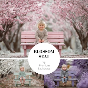 Puede incluir: Un niño está sentado en un banco rosa, rodeado de árboles en flor. La imagen incluye un gráfico circular con las palabras "BLOSSOM SEAT" y "25 Premium Backdrops". La escena evoca la primavera y la naturaleza.