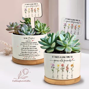 May include: Two white ceramic succulent planters with wooden bases. One has a message to a best friend, the other says "It takes a long time to grow old friends." Both have wooden signs with floral designs and names.